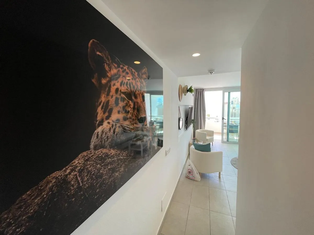 The Broncemar Apartments With Facilities Playa Del Ingles